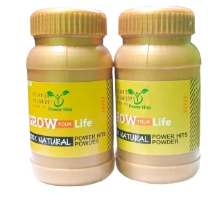 পাওয়ার হিটস পাউডার X ২